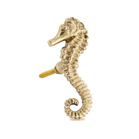 Doing Goods - Ladeknop Pippa Zeepaardje Rechts 3x7cm