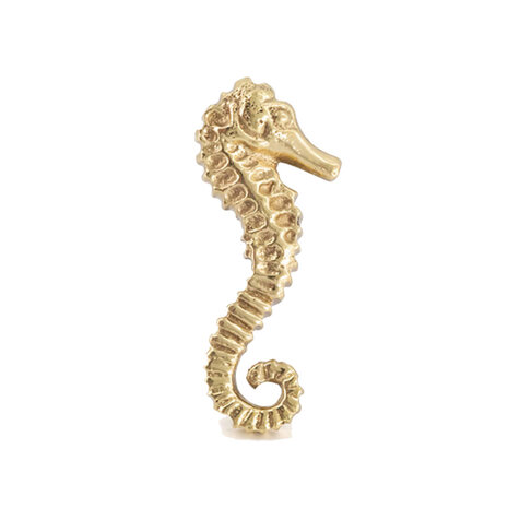 Doing Goods - Ladeknop Pippa Seahorse Messing 3x7cm links