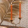 Doing Goods - Kandelaar Palash Palm Messing 27x22cm Doing Goods - Kandelaar Palash Palm Messing 27x22cm