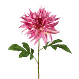 Melting Pot - Kunstbloem Dahlia Fuchsia Flame Steel 73cm