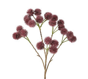 Melting Pot - Kunstbloem Rambutan Bordeaux Tak 66cm Melting Pot - Kunstbloem Rambutan Bordeaux Tak 66cm