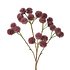 Kunstbloem Rambutan Bordeaux Tak 66cm Kunstbloem Rambutan Bordeaux Tak 66cm