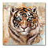 Schilderij Tijger Canvas 100x100cm