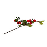 Melting Pot - Kunstbloem Reine Claude Bessen Rood Tak 71cm Melting Pot - Kunstbloem Reine Claude Bessen Rood Tak 71cm