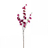 Kunstbloem Sakura Kersen Rood Tak 115cm Kunstbloem Sakura Kersen Rood Tak 115cm