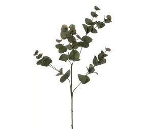 Melting Pot - Kunstbloem Eucalyptus Groen Tak 84cm Melting Pot - Kunstbloem Eucalyptus Groen Tak 84cm