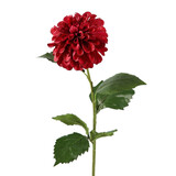 Melting Pot - Kunstbloem Dahlia Hillcrest Bordeaux 76cm Melting Pot - Kunstbloem Dahlia Hillcrest Bordeaux 76cm