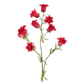 Melting Pot - Kunstbloem Campanula Fuchsia 9 Bloemen op Steel 88cm Melting Pot - Kunstbloem Campanula Fuchsia 9 Bloemen op Steel 88cm