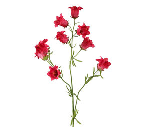 Melting Pot - Kunstbloem Campanula Fuchsia 9 Bloemen op Steel 88cm