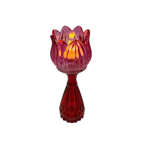 Melting Pot - Vaasje Tulp Pink Mix Glas 7x18cm in 4 kleuren Melting Pot - Vaasje Tulp Pink Mix Glas 7x18cm in 4 kleuren