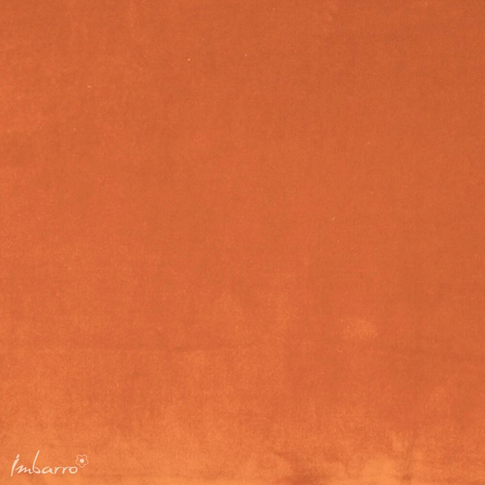 Imbarro - Sierkussen Lala Oranje Velours 60x40cm met bies Imbarro - Sierkussen Lala Oranje Velours 60x40cm met bies