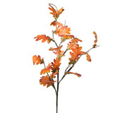 Melting Pot - Kunstbloem Eikenblad Oranje op Tak 112cm Melting Pot - Kunstbloem Eikenblad Oranje op Tak 112cm