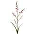 Kunstbloem Crocosmia Roze Tak 99cm Kunstbloem Crocosmia Roze Tak 99cm
