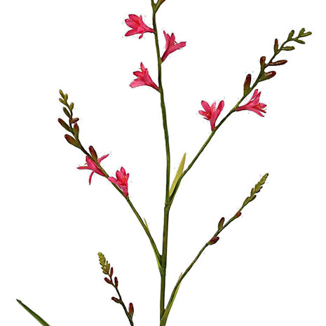 Melting Pot - Kunstbloem Crocosmia Roze Tak 99cm