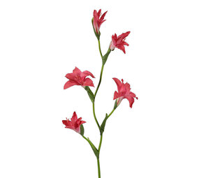 Melting Pot - Kunstbloem Gladiool Fuchsia 5 Bloemen op Tak 92cm Melting Pot - Kunstbloem Gladiool Fuchsia 5 Bloemen op Tak 92cm