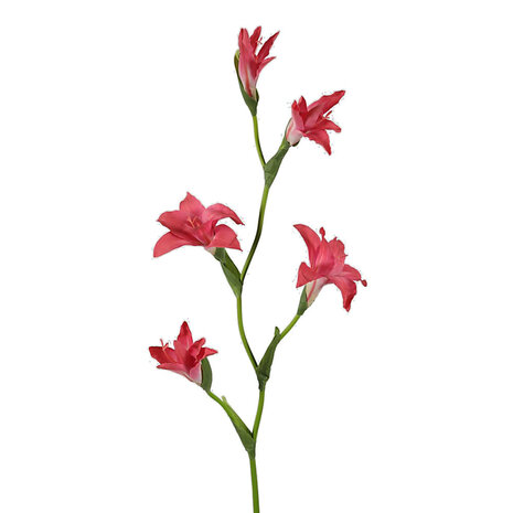 Melting Pot - Kunstbloem Gladiool Fuchsia 5 Bloemen op Tak 92cm Melting Pot - Kunstbloem Gladiool Fuchsia 5 Bloemen op Tak 92cm