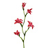 Kunstbloem Gladiool Fuchsia 5 Bloemen op Tak 92cm Kunstbloem Gladiool Fuchsia 5 Bloemen op Tak 92cm
