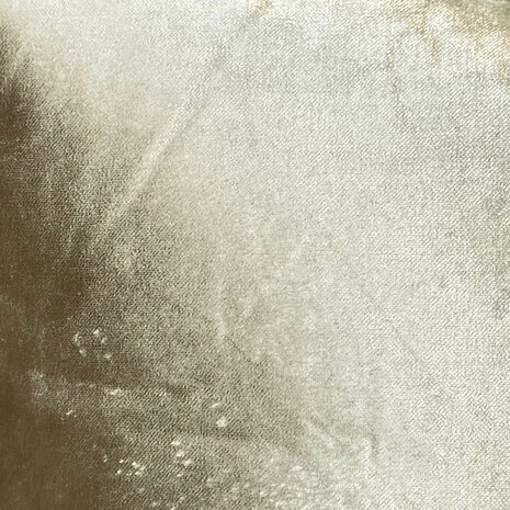 Colmore - Sierkussen Licht Groen Velours 45x45cm franjes groen