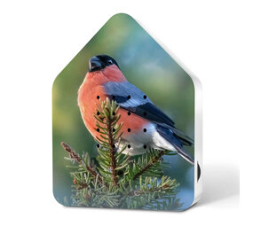 Zwitscherbox - Vogelhuisje Bullfink - Limited Edition Zwitscherbox - Vogelhuisje Bullfink - Limited Edition
