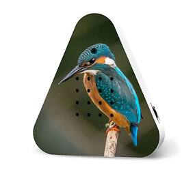 Zwitscherbox - Lakesidebox Bosgeluiden ijsvogel - Limited Edition Zwitscherbox - Lakesidebox Bosgeluiden ijsvogel - Limited Edition