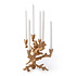 Kandelaar Apple Tree S Goud Aluminium 27x32cm 6 armen Kandelaar Apple Tree S Goud Aluminium 27x32cm 6 armen