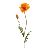 Colmore - Kunstbloem Papaver Oranje 2 op Tak 75cm Colmore - Kunstbloem Papaver Oranje 2 op Tak 75cm