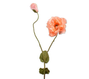 Colmore - Kunstbloem Papaver Peach 2 op Tak 72cm Colmore - Kunstbloem Papaver Peach 2 op Tak 72cm