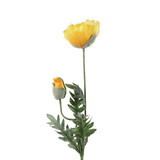 Colmore - Kunstbloem Papaver Geel 2 op Steel 72cm Colmore - Kunstbloem Papaver Geel 2 op Steel 72cm