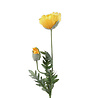 Colmore - Kunstbloem Papaver Geel 2 op Steel 72cm Colmore - Kunstbloem Papaver Geel 2 op Steel 72cm