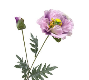 Colmore - Kunstbloem Papaver Lila 2 op Tak 72cm Colmore - Kunstbloem Papaver Lila 2 op Tak 72cm
