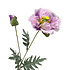 Kunstbloem Papaver Lila 2 op Tak 72cm