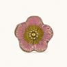 Doing Goods - Ladeknop Faye Flower Pink Messing 5x5cm Doing Goods - Ladeknop Faye Flower Pink Messing 5x5cm
