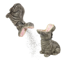 Donkey - Peper en Zout Stel Hungry Hippo's Dolomiet 5x9cm Donkey - Peper en Zout Stel Hungry Hippo's Dolomiet 5x9cm