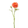 Melting Pot - Kunstbloem Ranonkel Oranje 2 Bloemen op Steel 47cm Melting Pot - Kunstbloem Ranonkel Oranje 2 Bloemen op Steel 47cm