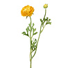 Melting Pot - Kunstbloem Ranonkel Geel 2 Bloemen op Steel 47cm Melting Pot - Kunstbloem Ranonkel Geel 2 Bloemen op Steel 47cm