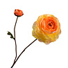 Melting Pot - Kunstbloem Rankonkel 2 Bloemen Tak 65cm in 5 kleuren Melting Pot - Kunstbloem Rankonkel 2 Bloemen Tak 65cm in 5 kleuren