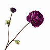Melting Pot - Kunstbloem Rankonkel 2 Bloemen Tak 65cm in 5 kleuren Melting Pot - Kunstbloem Rankonkel 2 Bloemen Tak 65cm in 5 kleuren