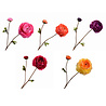 Melting Pot - Kunstbloem Rankonkel 2 Bloemen Tak 65cm in 5 kleuren Melting Pot - Kunstbloem Rankonkel 2 Bloemen Tak 65cm in 5 kleuren