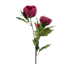 Melting Pot - Kunstbloem Pioenroos Fuchsia 3 Bloemen Tak 65cm Melting Pot - Kunstbloem Pioenroos Fuchsia 3 Bloemen Tak 65cm