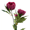 Melting Pot - Kunstbloem Pioenroos Fuchsia 3 Bloemen Tak 65cm Melting Pot - Kunstbloem Pioenroos Fuchsia 3 Bloemen Tak 65cm