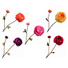 Melting Pot - Kunstbloem Rankonkel 2 Bloemen Tak 65cm in 5 kleuren Melting Pot - Kunstbloem Rankonkel 2 Bloemen Tak 65cm in 5 kleuren