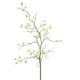 Melting Pot - Kunstbloem Kamperfoelie Groen Tak 96cm Melting Pot - Kunstbloem Kamperfoelie Groen Tak 96cm