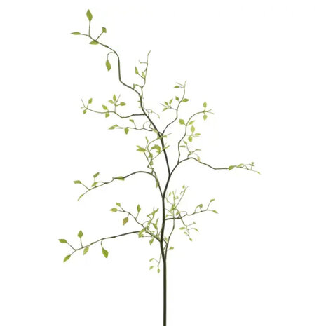 Melting Pot - Kunstbloem Kamperfoelie Groen Tak 96cm