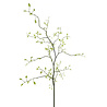Melting Pot - Kunstbloem Kamperfoelie Groen Tak 96cm Melting Pot - Kunstbloem Kamperfoelie Groen Tak 96cm
