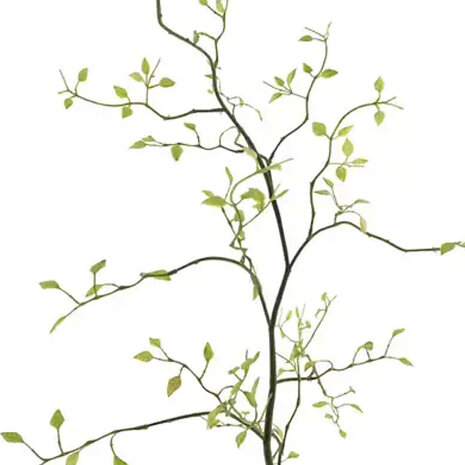 Melting Pot - Kunstbloem Kamperfoelie Groen Tak 96cm