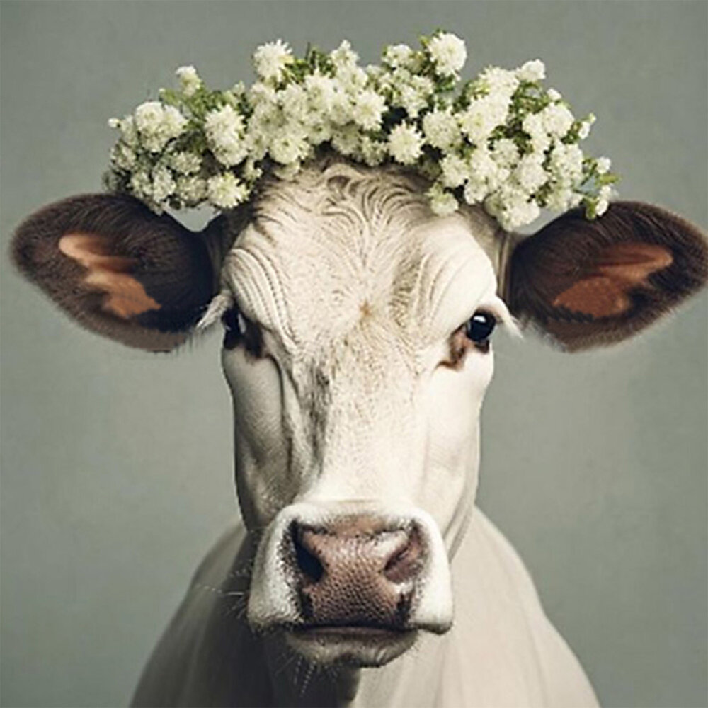 Melting Pot - Glasschilderij Klara Koe Multicolor 80x120cm Melting Pot - Glasschilderij Klara Koe Multicolor 80x120cm