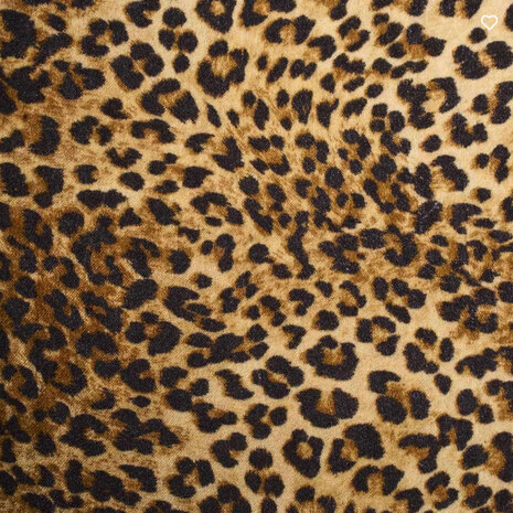 Werns - Fauteuil Jungle Love Panterprint Fuchsia 77x76x83cm