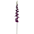 Kunstbloem Gladiool Donker Paars op Steel 108cm Kunstbloem Gladiool Donker Paars op Steel 108cm