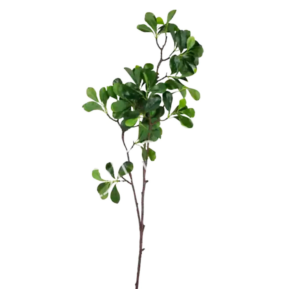 Colmore - Kunstbloem Groene Bladeren op Tak 97cm Colmore - Kunstbloem Groene Bladeren op Tak 97cm