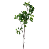 Colmore - Kunstbloem Groene Bladeren op Tak 97cm Colmore - Kunstbloem Groene Bladeren op Tak 97cm